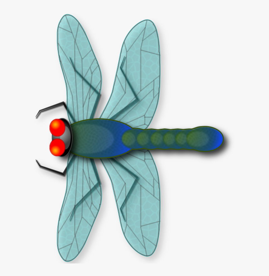 Make Your Own Dragonfly From Scratch *beginners* - Dragonfly, HD Png Download, Free Download