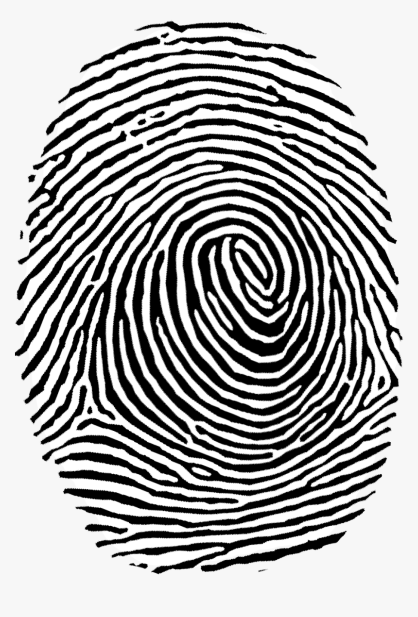 Fingerprint Clipart, HD Png Download, Free Download
