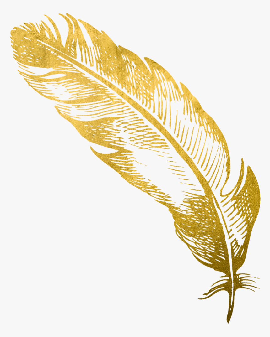 Feather Pen PNG Transparent Images Free Download