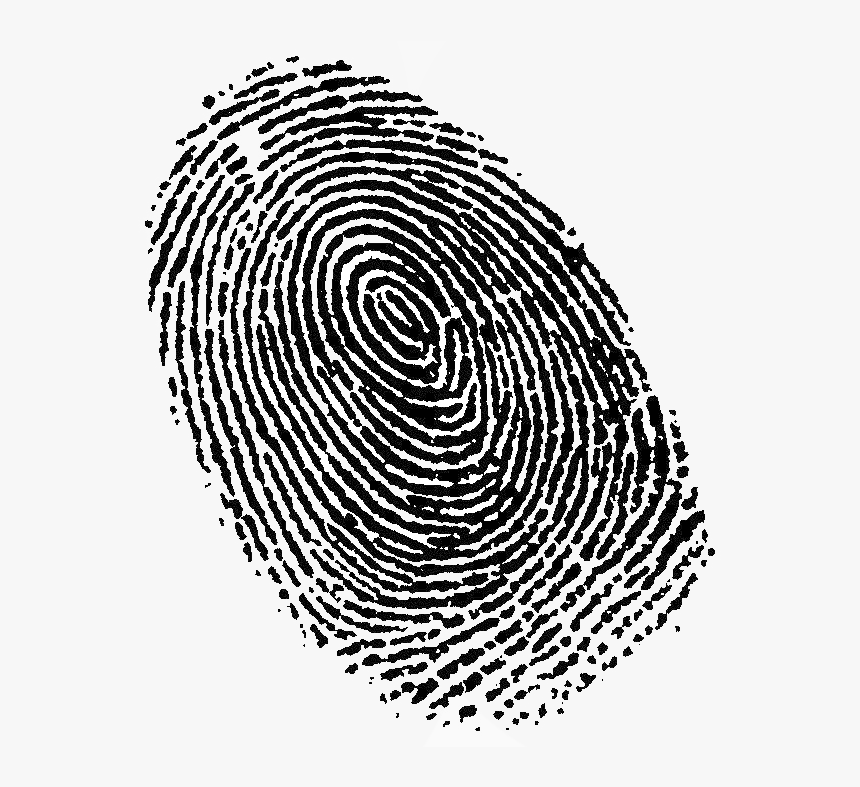 Fingerprint Transparent Image - Fingerprint Png, Png Download, Free Download