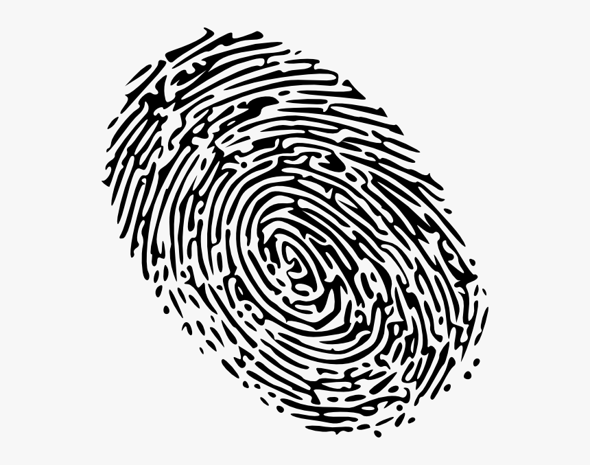 Png Fingerprint, Transparent Png, Free Download