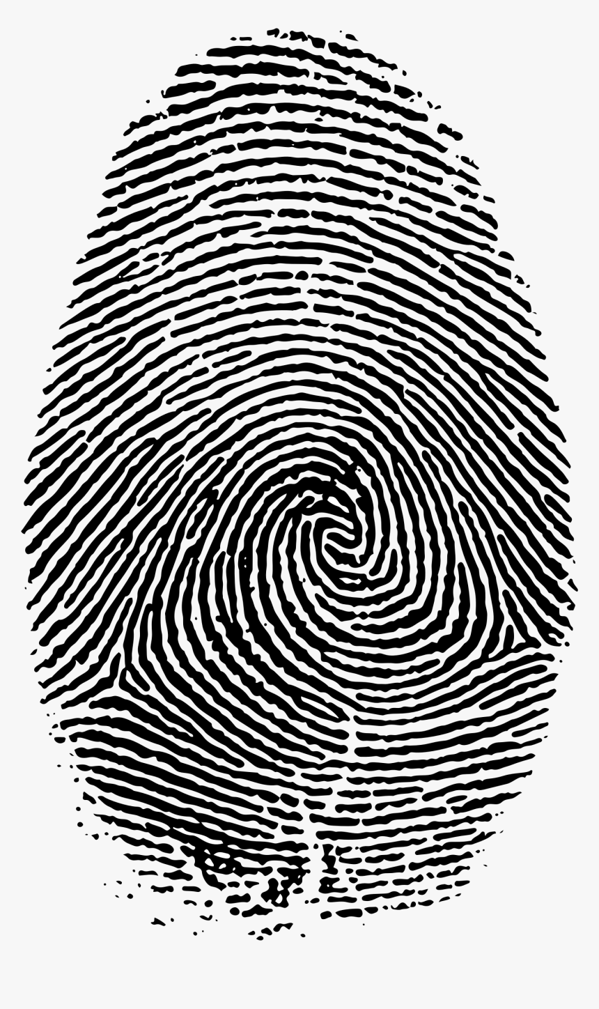 Fingerprint Live Scan - Transparent Background Fingerprint Png, Png Download, Free Download