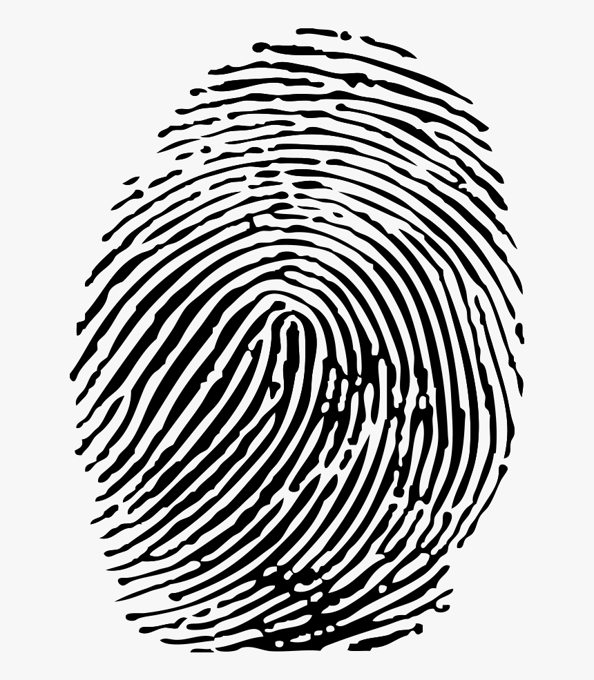 Fingerprint Png Download - Biometric Passport Sri Lanka, Transparent Png, Free Download