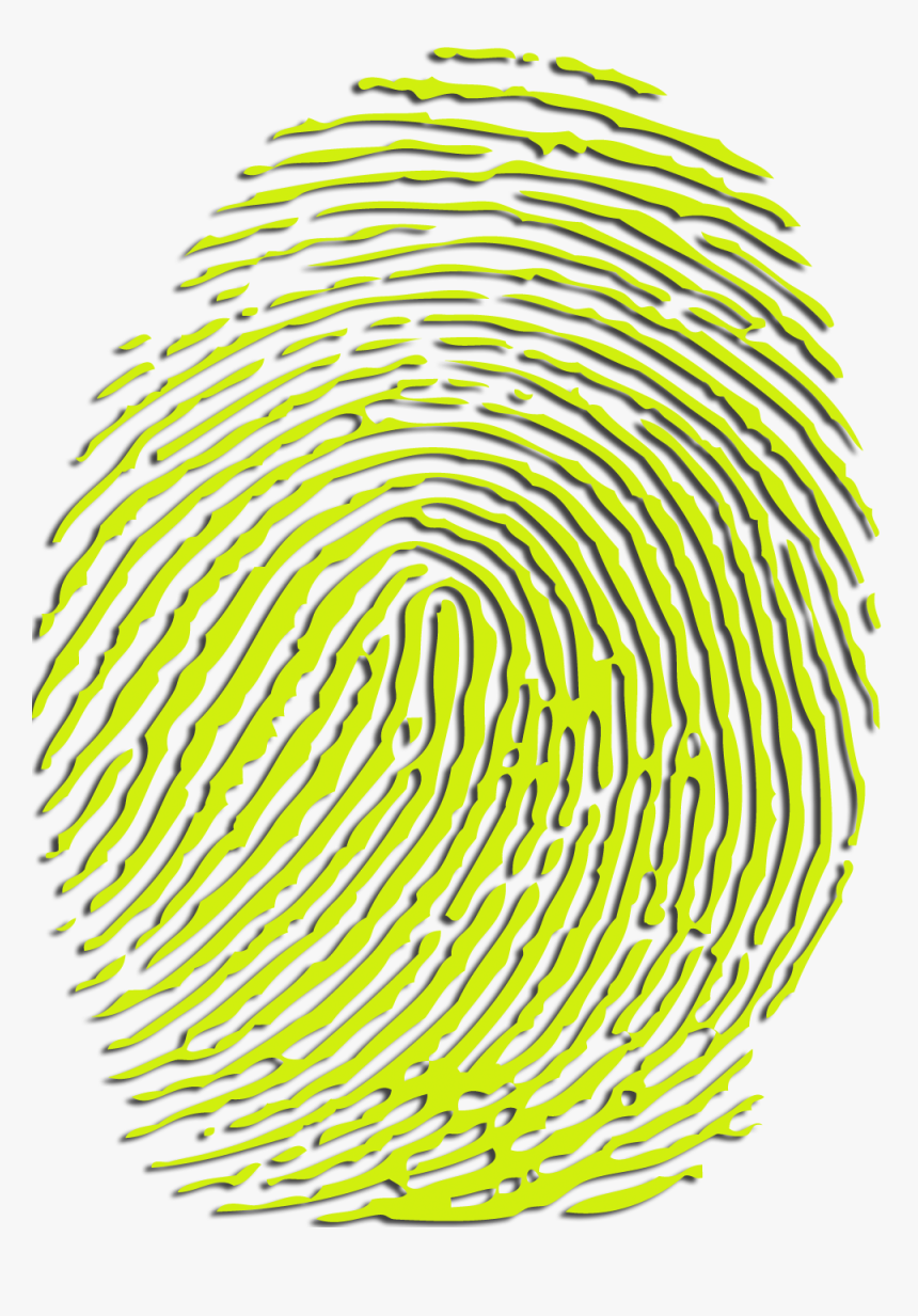 Fingerprint Png - Transparent Fingerprint Vector Png, Png Download, Free Download