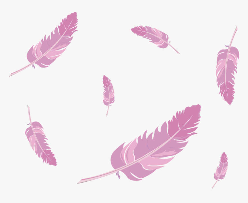Pink Feathers Png , Png Download - Pink Feather Vector Png, Transparent Png, Free Download