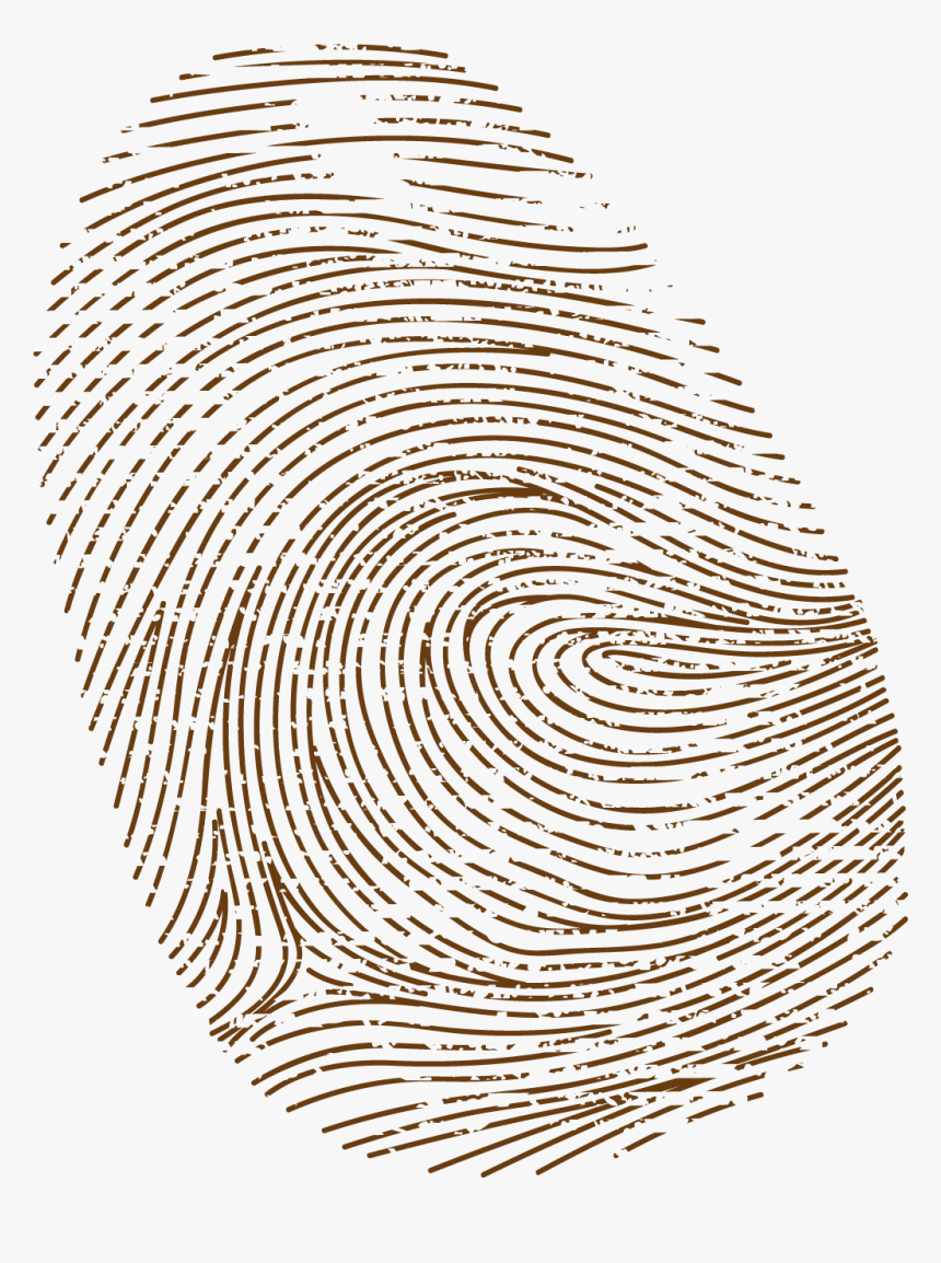 Download Fingerprint, HD Png Download, Free Download