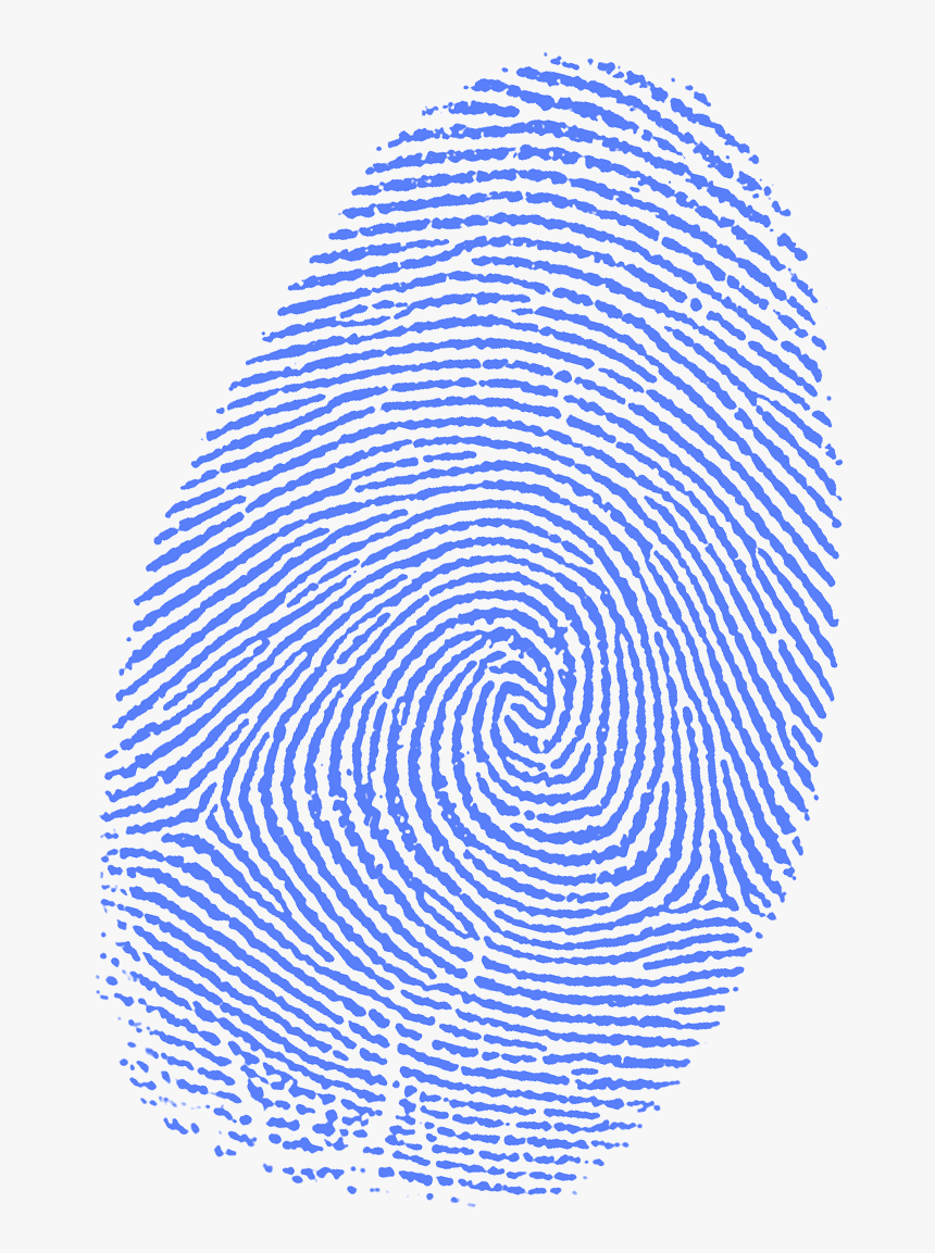 Fingerprint , Png Download - Transparent Background Fingerprint Png, Png Download, Free Download