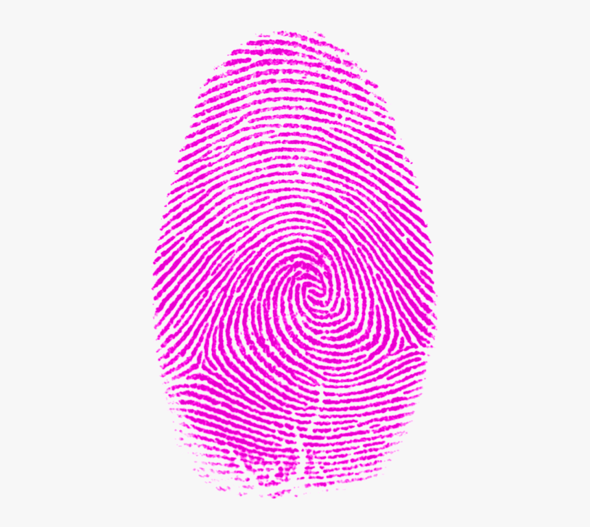 Pink Stuff Pinterest Printing - Fibonacci Sequence In Fingerprint, HD Png Download, Free Download