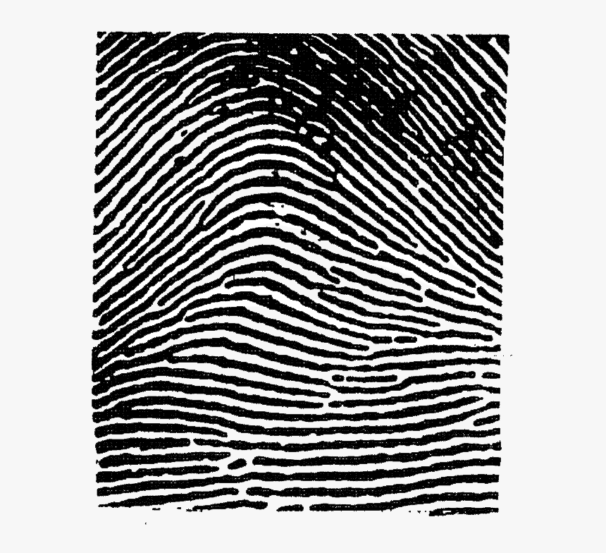 This Image Used For Decorative Purposes Only - Broken Heart Fingerprint Tattoo, HD Png Download, Free Download