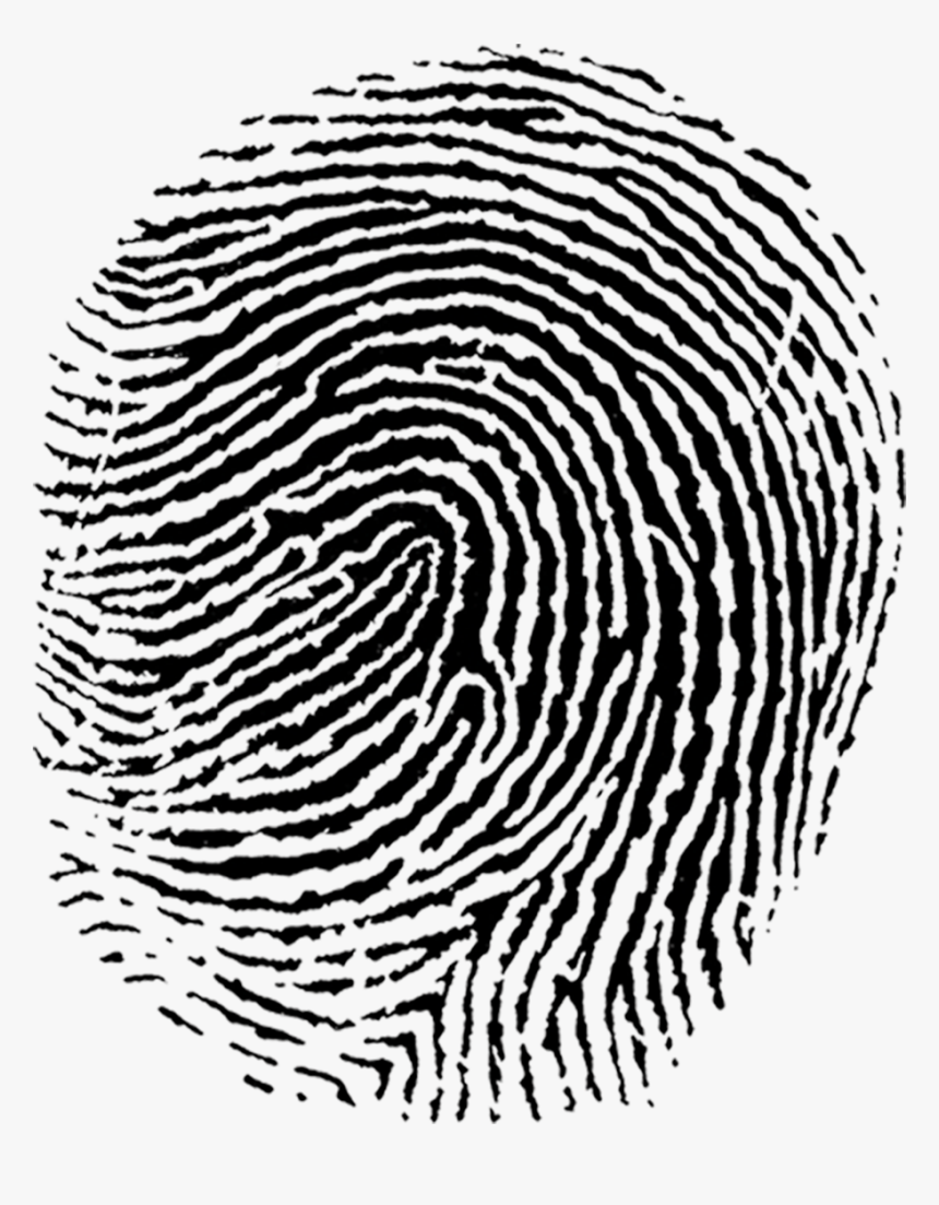 Logo - Free Fingerprint Vector, HD Png Download, Free Download