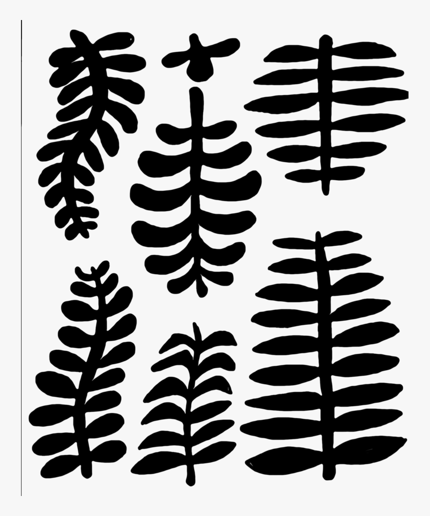 Leaf Shapes Cool Shapes, Leaf Shapes, Line Drawing, - Fern, HD Png Download, Free Download