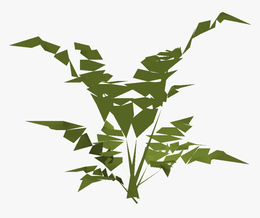 Fern Png, Transparent Png, Free Download