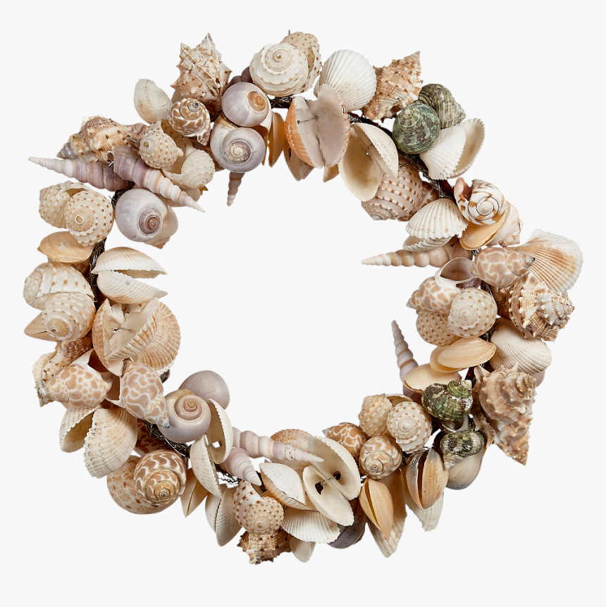 11 - Shell Wreath Png, Transparent Png, Free Download