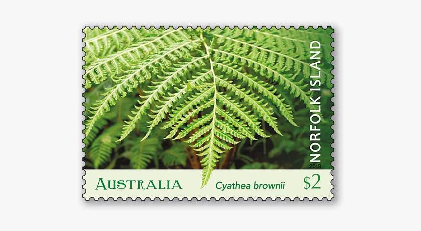 Norfolk Island Tree Fern 2019 Australia Post Sheet, HD Png Download, Free Download