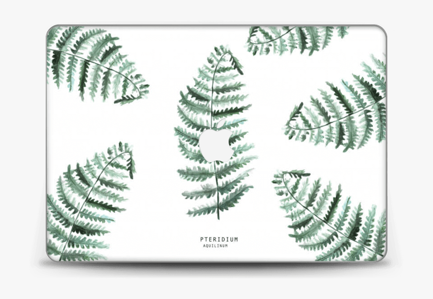 Pteridium Aquilinum Skin Macbook Pro Retina 15” - Ostrich Fern, HD Png Download, Free Download