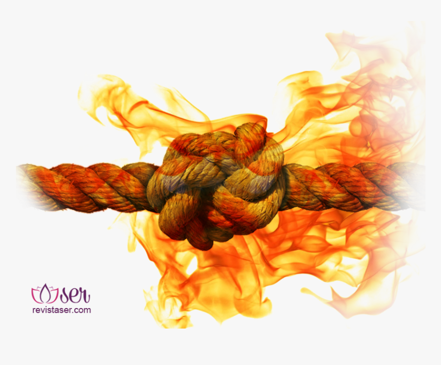 Fire Flames White Background, HD Png Download, Free Download