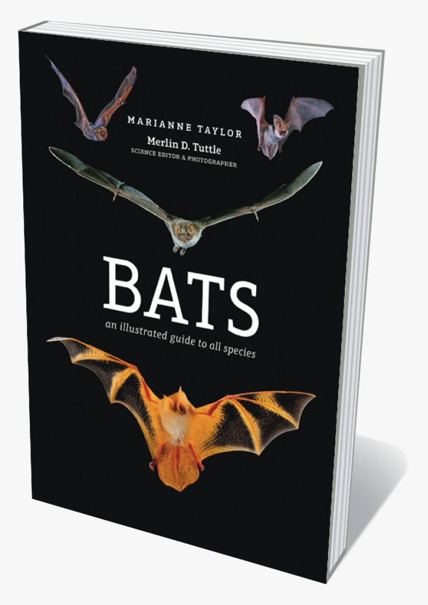 Transparent Flying Bats Png - Bats An Illustrated Guide To All Species, Png Download, Free Download