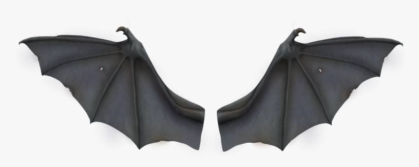Download Stock Wing Development - Bat Wings Transparent Background, HD Png Download, Free Download