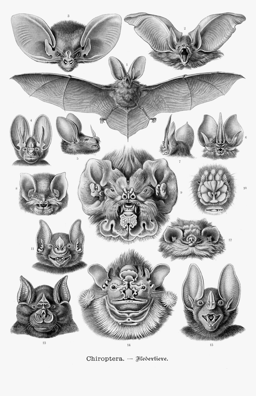 100 Trendy Bat Tattoos Designs  Meanings  Tattoo Me Now