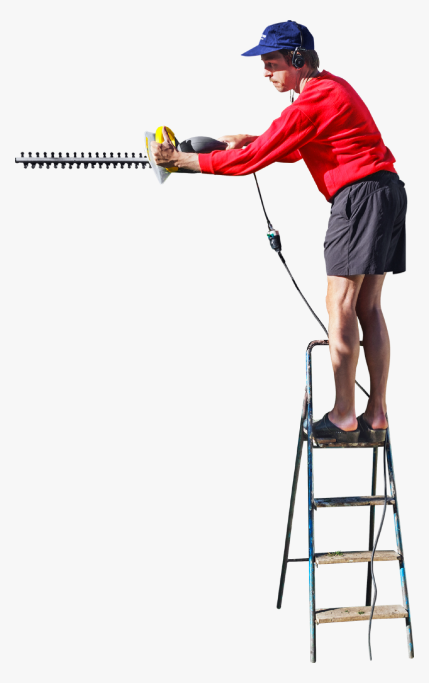 On A Ladder Cutting The Hedge Png Image - People Ladder Png, Transparent Png, Free Download