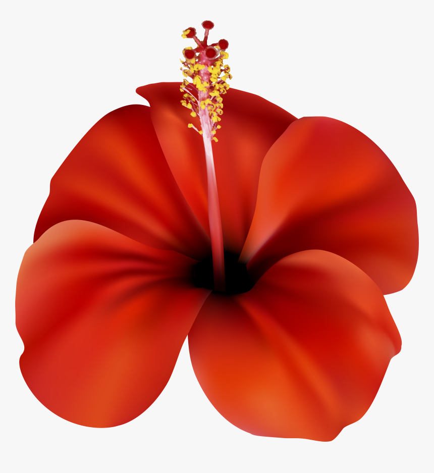 Red Flower Png Clip Art, Transparent Png, Free Download