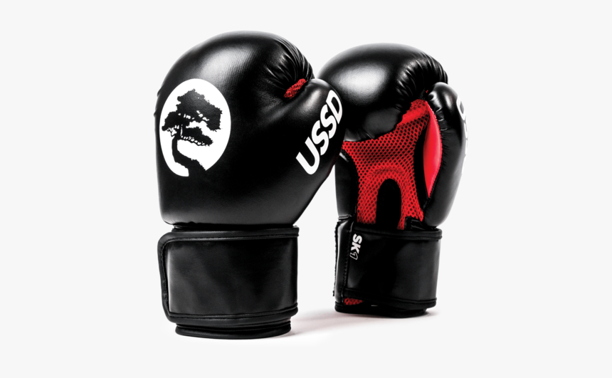 Ussd Sk1 Sparring Gloves Series - Professional Boxing, HD Png Download, Free Download
