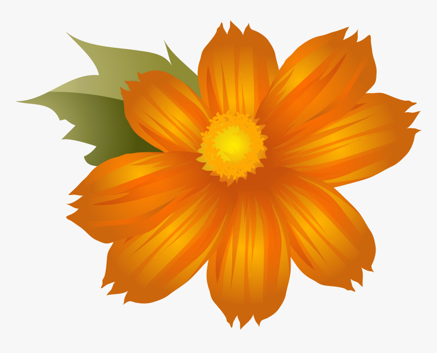 Clip Art Orange Flowers Png - Art Flower Orange Background, Transparent Png, Free Download