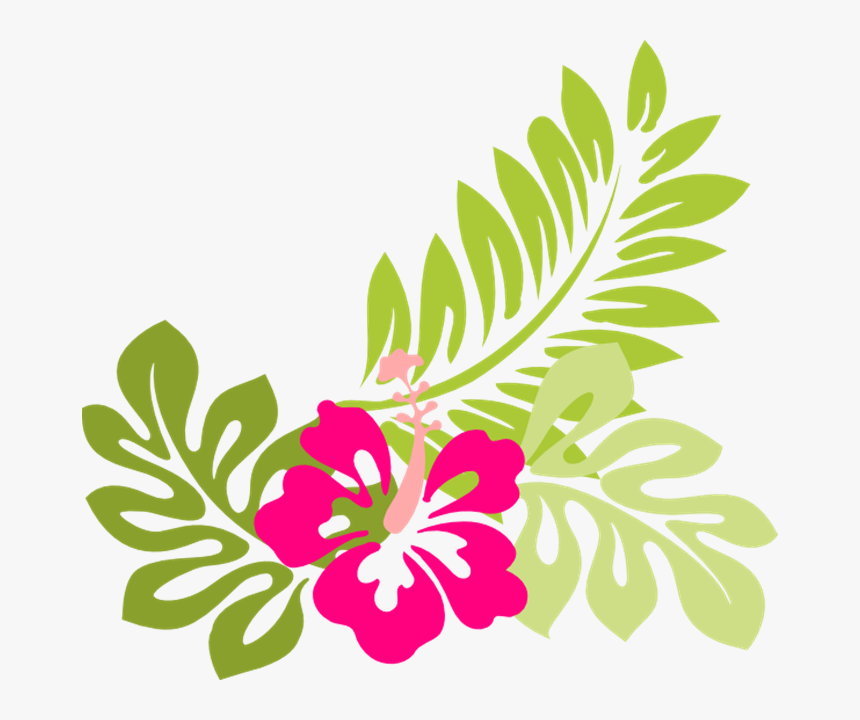 Free Tropical Flowers Cliparts - Hibiscus Clip Art, HD Png Download, Free Download