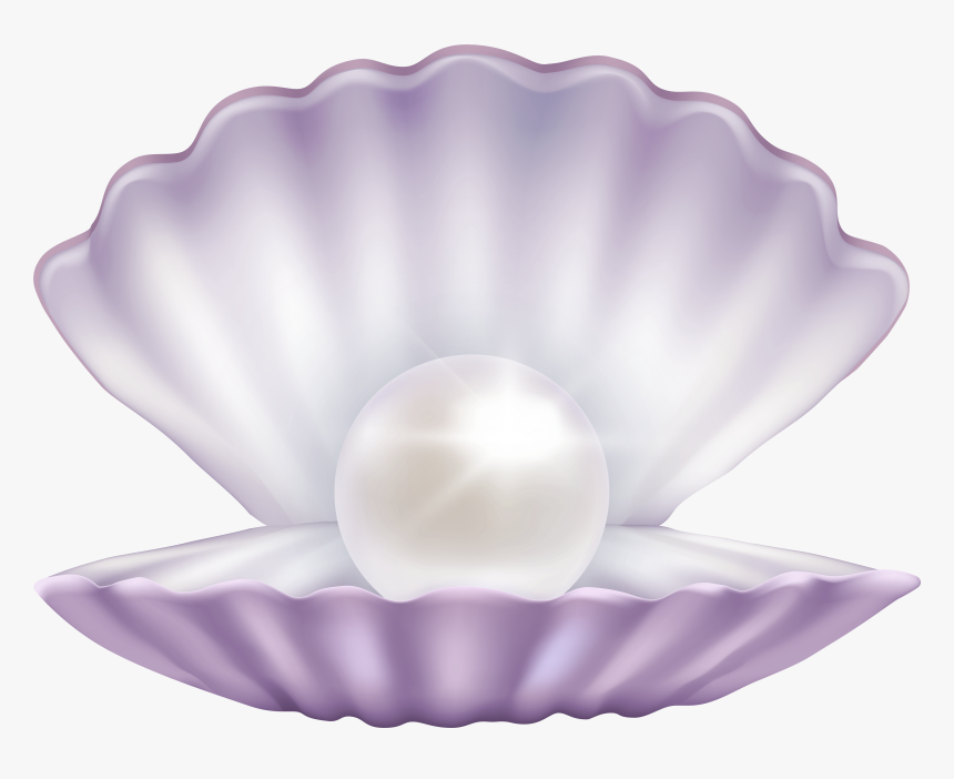 Clam With Pearl Png, Transparent Png, Free Download