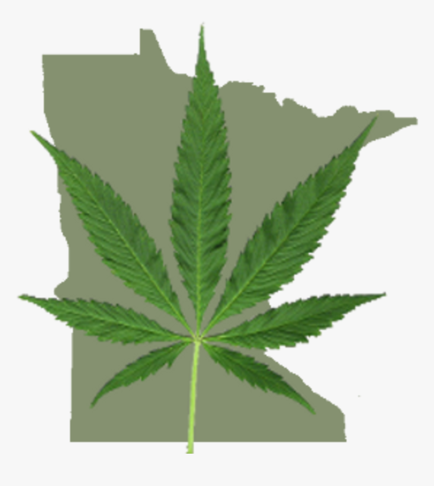 Transparent Marijuana Png - Minnesota Cannabis, Png Download, Free Download