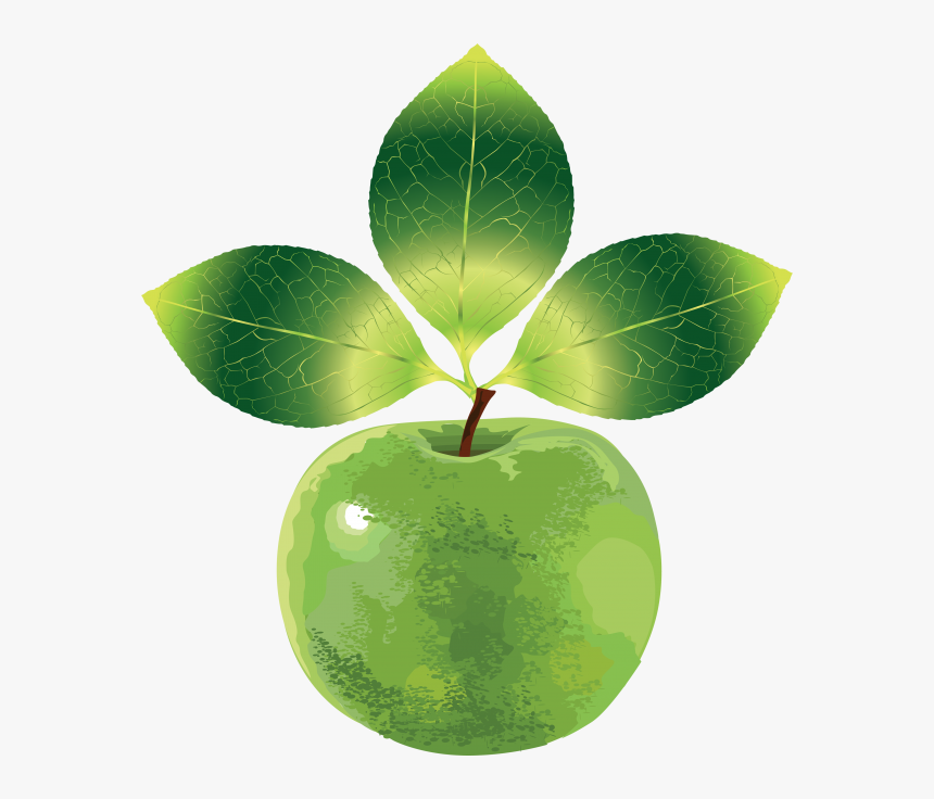 Clipart Apple With Three Leaves Png - Fruit Vector, Transparent Png, Free Download