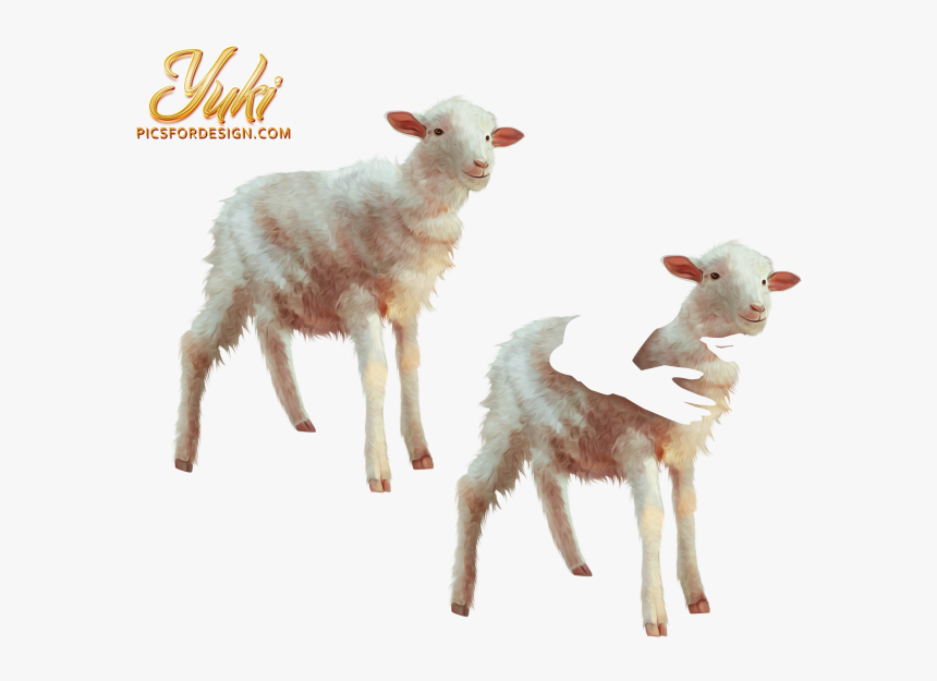 Calf, HD Png Download, Free Download