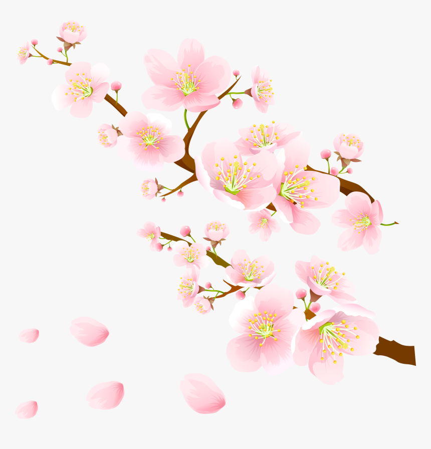 Sakura Pink Flowers Png Clipart - Pink Sakura Flower Png, Transparent Png, Free Download