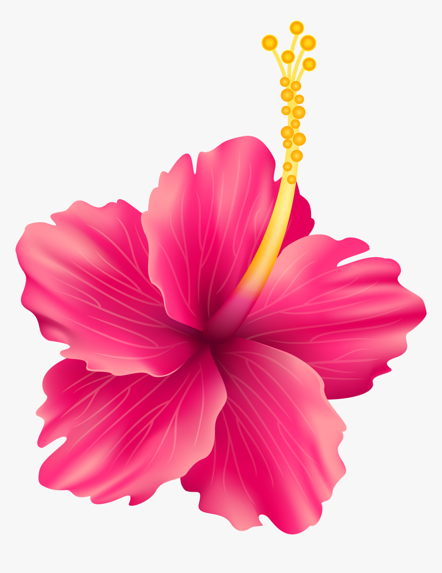 Pink Exotic Flower Png Transparent Clip Art Imageu200b, Png Download, Free Download