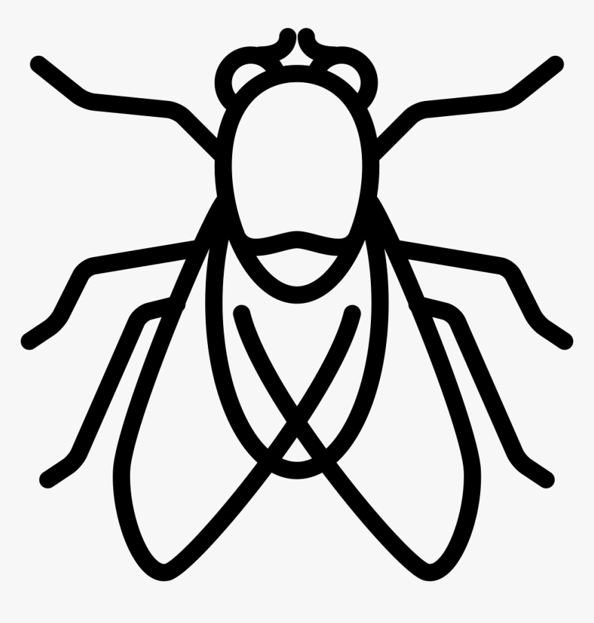 Big Fly - Drawing, HD Png Download, Free Download