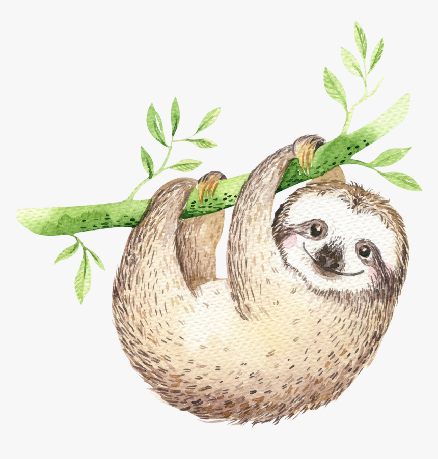 Sloth Cartoon - Dont Give Up Posters, HD Png Download, Free Download