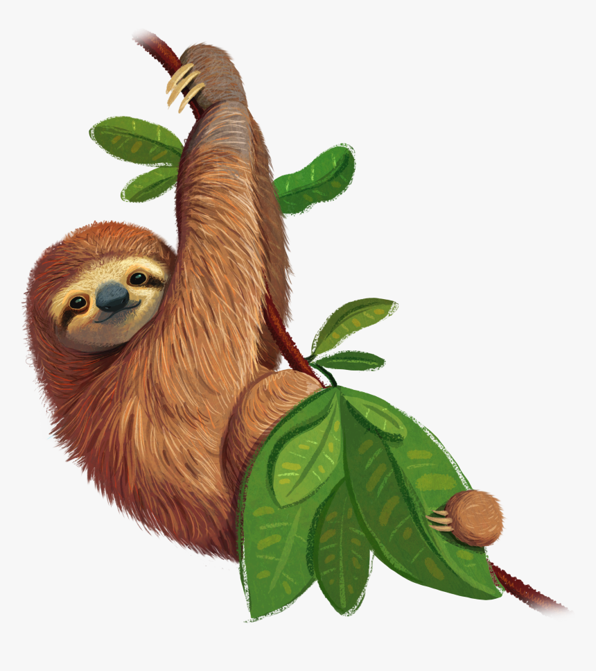Three-toed Sloth - Wild Animal Gif Transparent, HD Png Download, Free Download