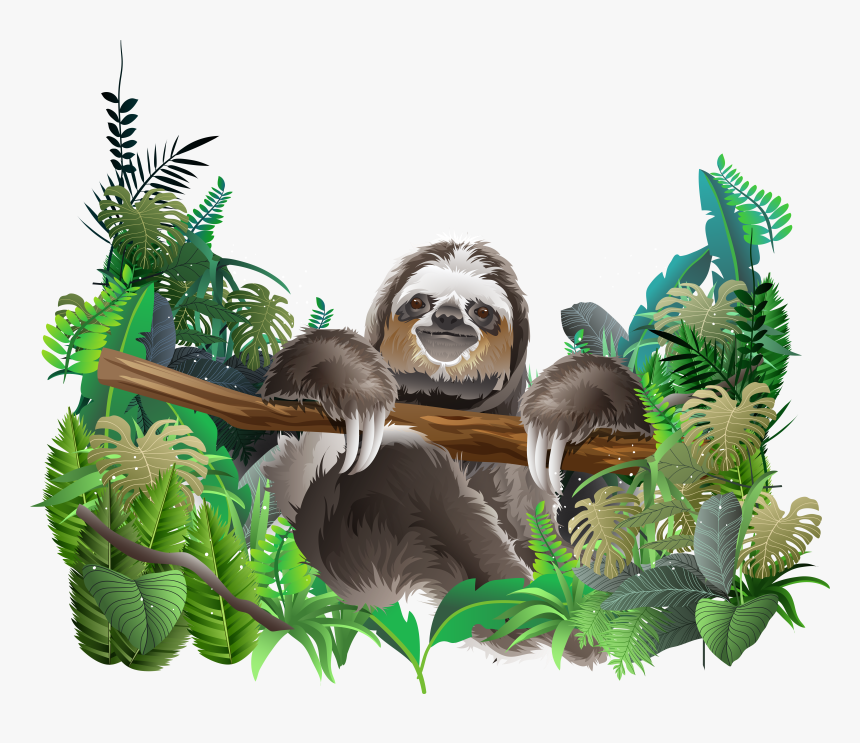 Transparent Sid The Sloth Png - Rainforest Animal Png, Png Download, Free Download
