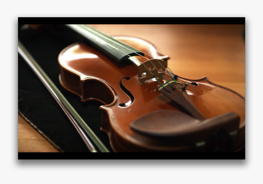 Viola, HD Png Download, Free Download