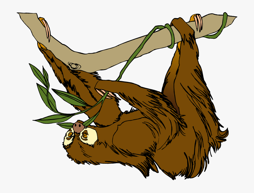 Free Sloth Clipart - Transparent Sloth Clipart, HD Png Download, Free Download