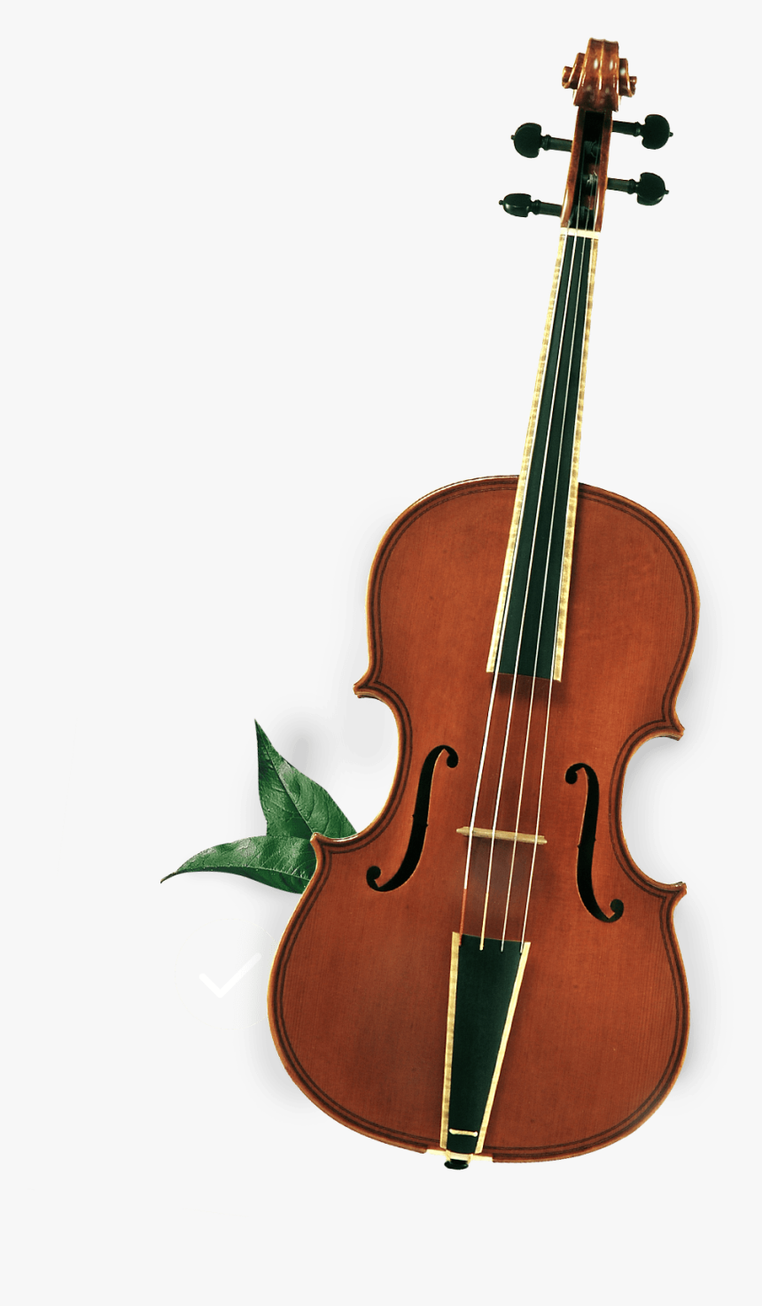 Transparent Cat And The Fiddle Clipart - Viola, HD Png Download, Free Download