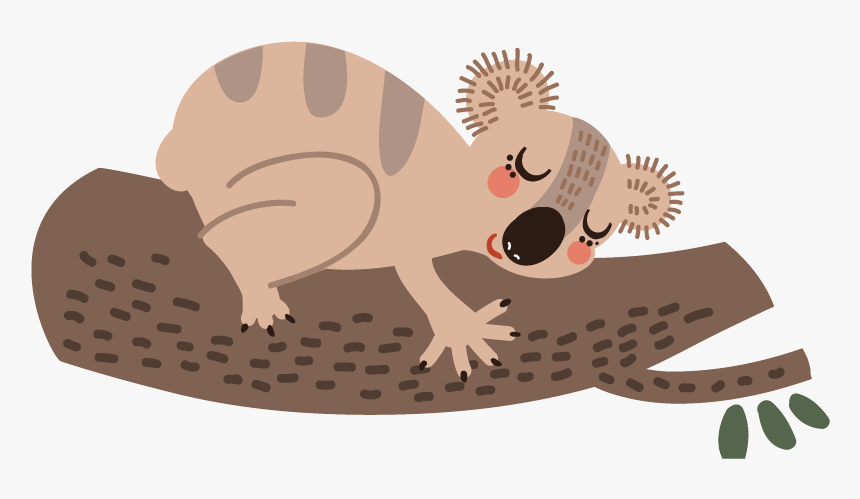 Koala Wombat Bear Cartoon Sloth - Cute Animals Sloth Design Png, Transparent Png, Free Download