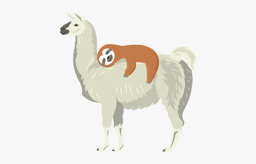 Llama Sloth Png, Transparent Png, Free Download