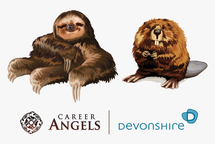 Sloth Mixed With A Beaver, HD Png Download, Free Download