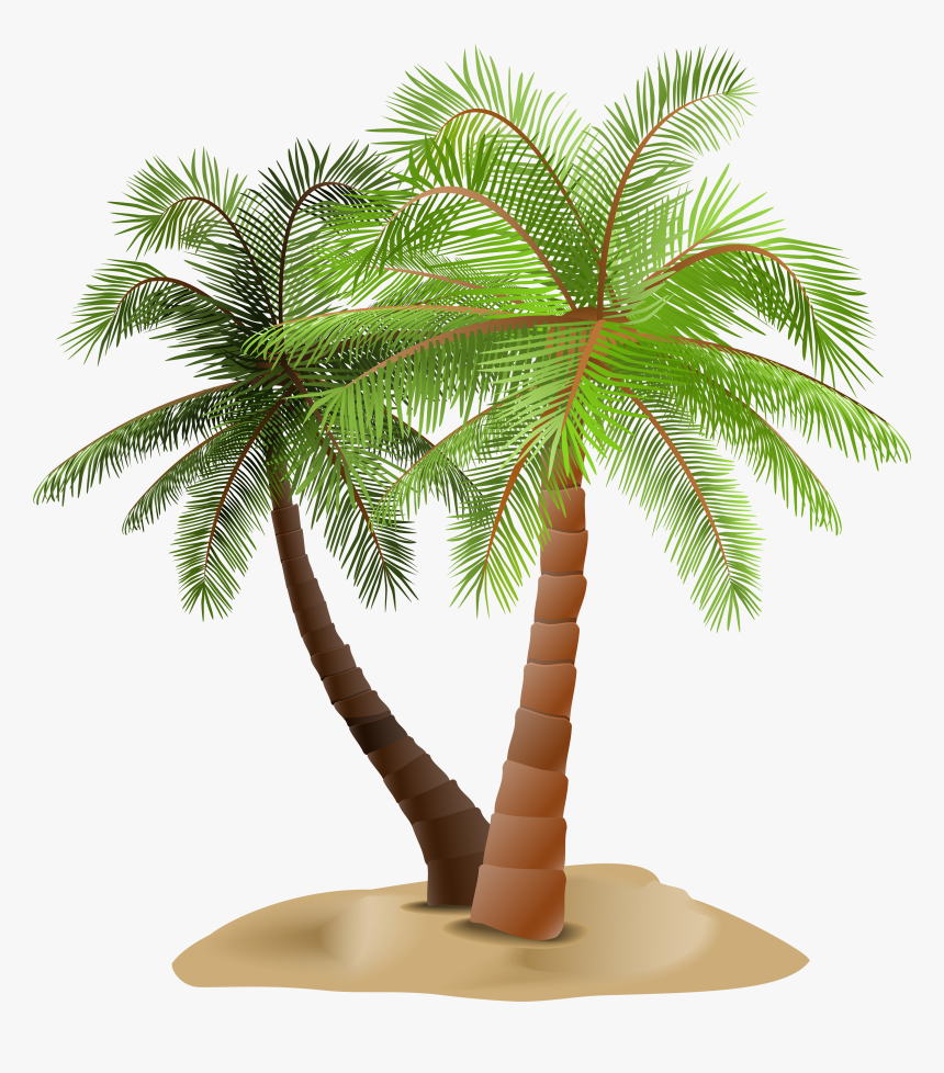 Palms In Sand Transparent - Palm Tree Transparent, HD Png Download, Free Download