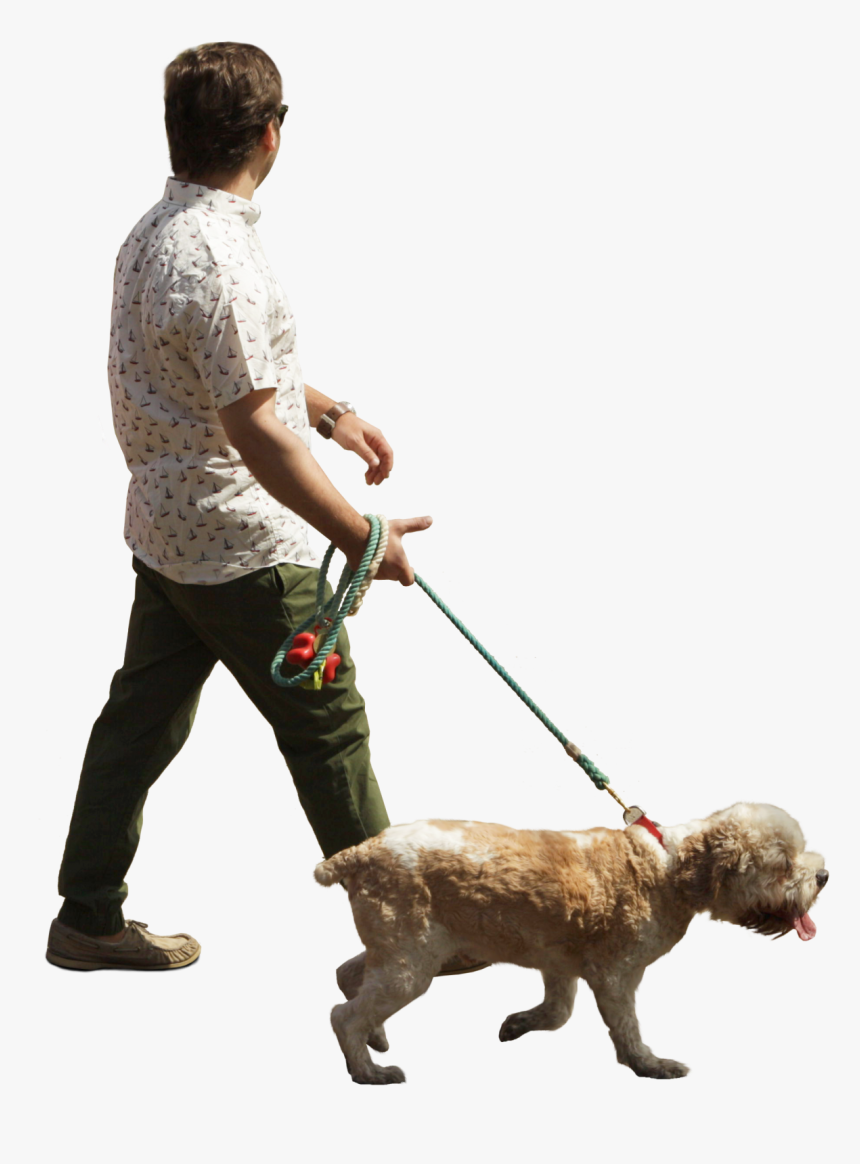 Person Walking Dog Png Clipart , Png Download - Person Walking Dog Png, Transparent Png, Free Download