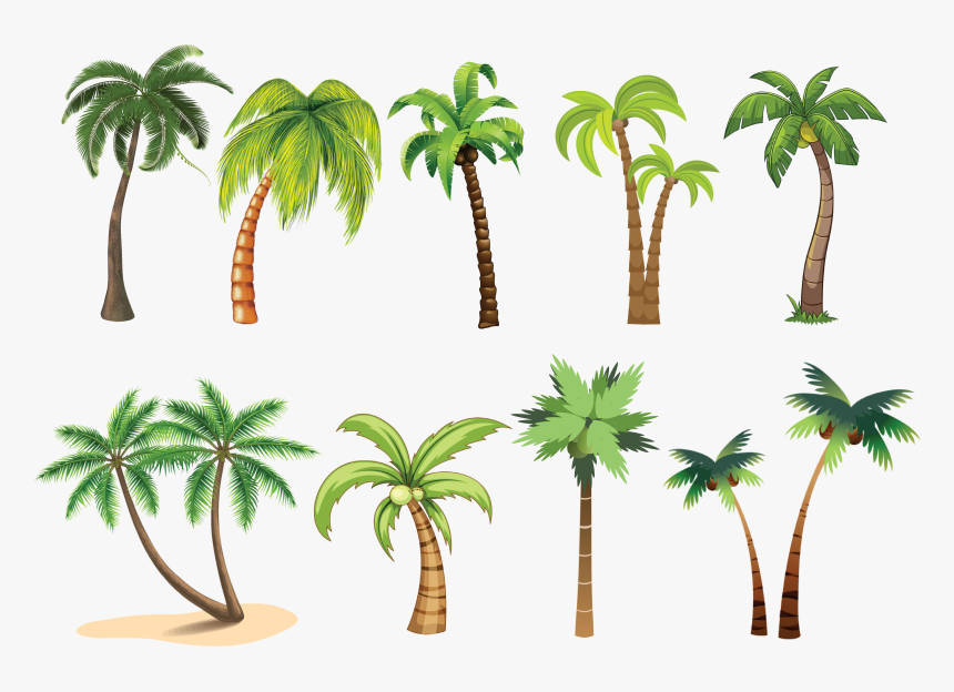 Transparent Palm Trees Clip Art - Palm Tree Clip Art, HD Png Download, Free Download