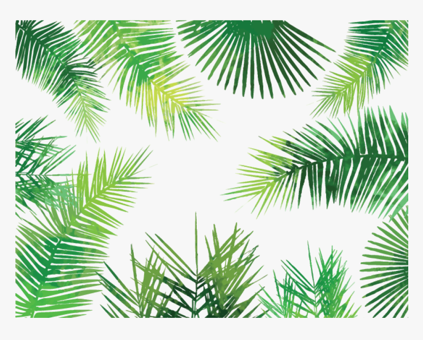 Watercolor Palm Leaves Png - Palm Leaves Pattern Png, Transparent Png, Free Download