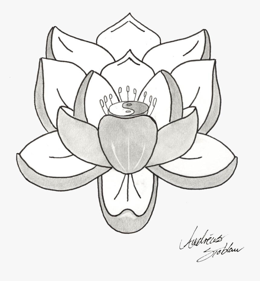 Download Lotus Tattoos Png Picture - Transparent Background Black And White Lotus Flower, Png Download, Free Download