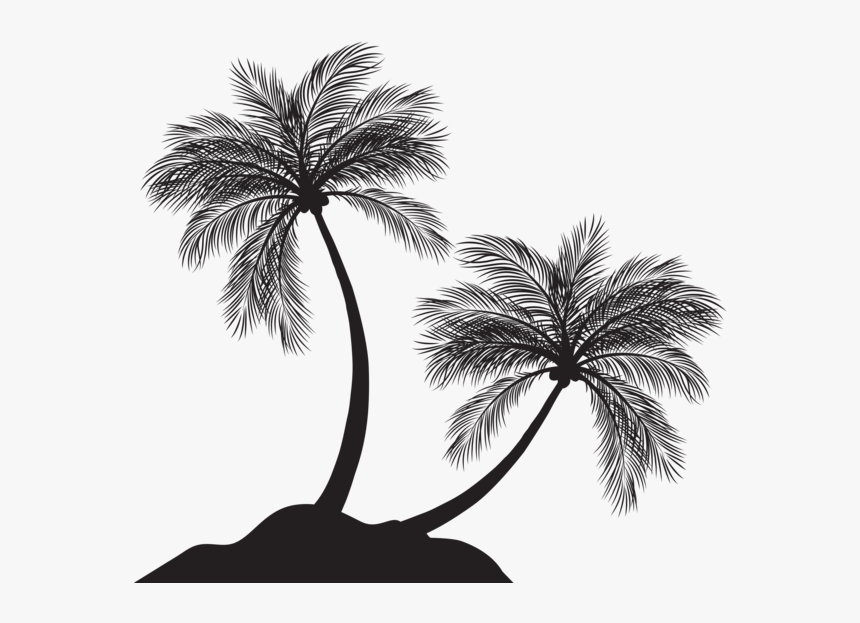 Transparent Palm Png - Tree Silhouette Palm Tree Png, Png Download, Free Download